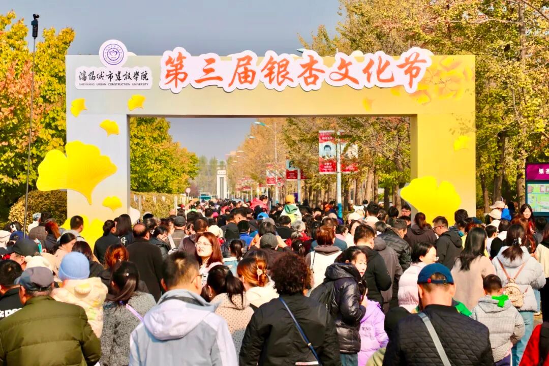 版权所有