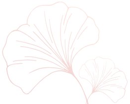 世界杯网址大全网页版常用功能